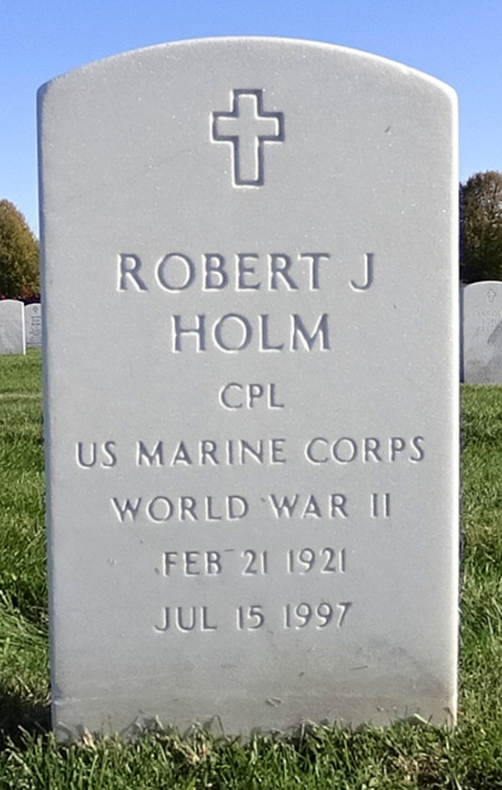 Robert J Holm