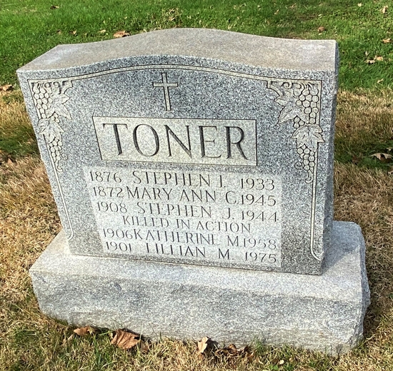 Stephen J Toner